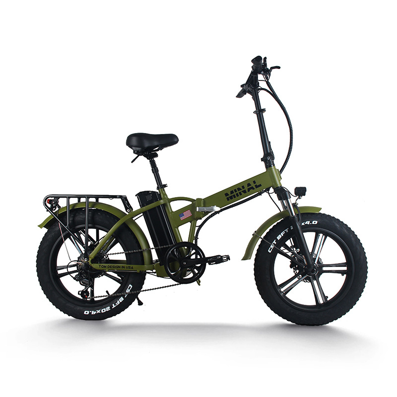 48V 350W 10.5Ah FTC200 E-Bike  – Cycling Commute Gear Bewertung und Preis