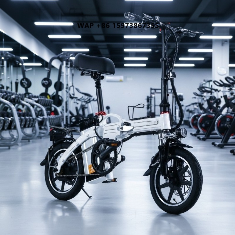 Mini Faltbares Elektrofahrrad  – Commuting With Bike Bewertung und Preis